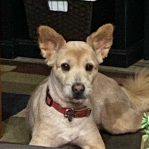 Meet your Posher, Katherine